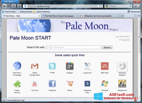 Снимак заслона Pale Moon Windows 8.1