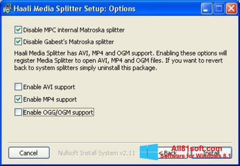 Снимак заслона Haali Media Splitter Windows 8.1