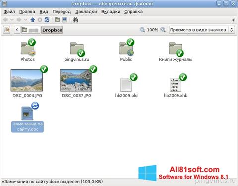 Снимак заслона Dropbox Windows 8.1