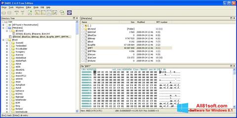 Снимак заслона DMDE Windows 8.1