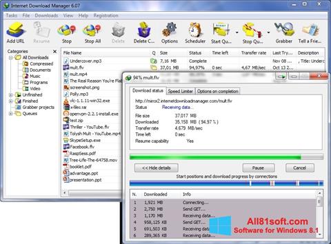 Снимак заслона Internet Download Manager Windows 8.1