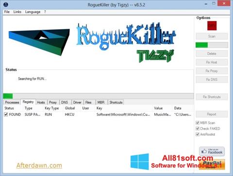 Снимак заслона RogueKiller Windows 8.1