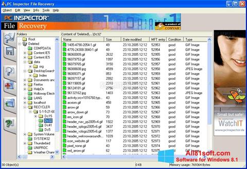 Снимак заслона PC Inspector File Recovery Windows 8.1