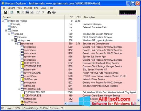 Снимак заслона Process Explorer Windows 8.1