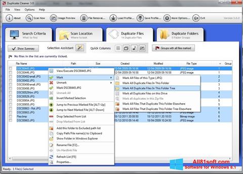 Снимак заслона Duplicate Cleaner Windows 8.1