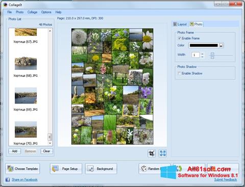 Снимак заслона CollageIt Windows 8.1