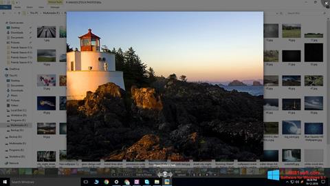Снимак заслона Picasa Photo Viewer Windows 8.1