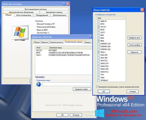 Снимак заслона HashTab Windows 8.1